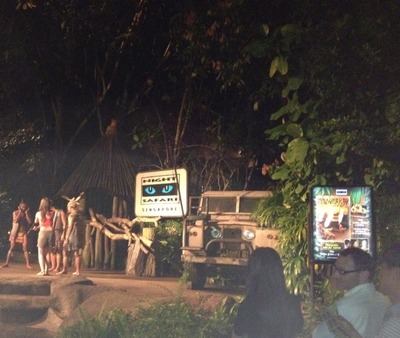 ナイトサファリ.jpeg